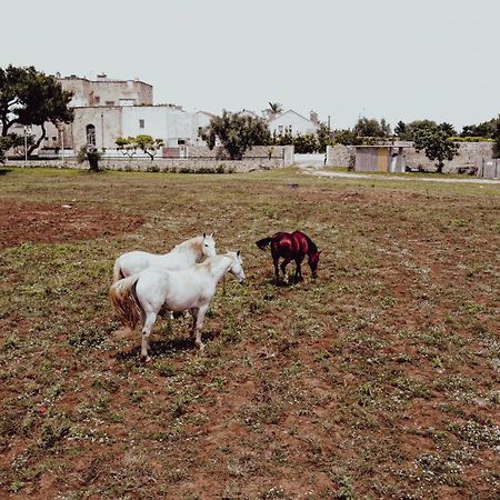 Masseria Francescani Torre Chianca Esterno foto